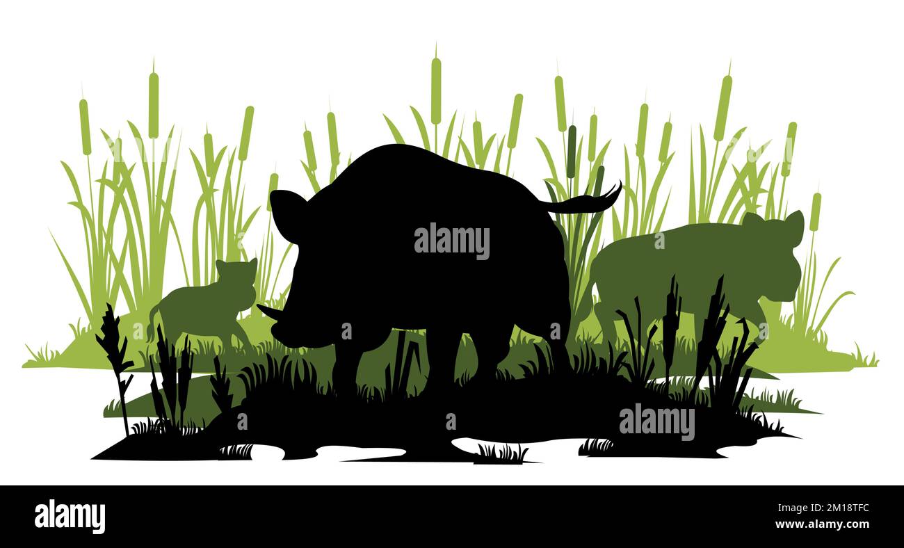 Wildschwein im Sumpf beschützt seine Familie. Tier in natürlichem Lebensraum. Wildschwein-Illustration. Isoliert auf weißem Hintergrund. Vektor. Stock Vektor