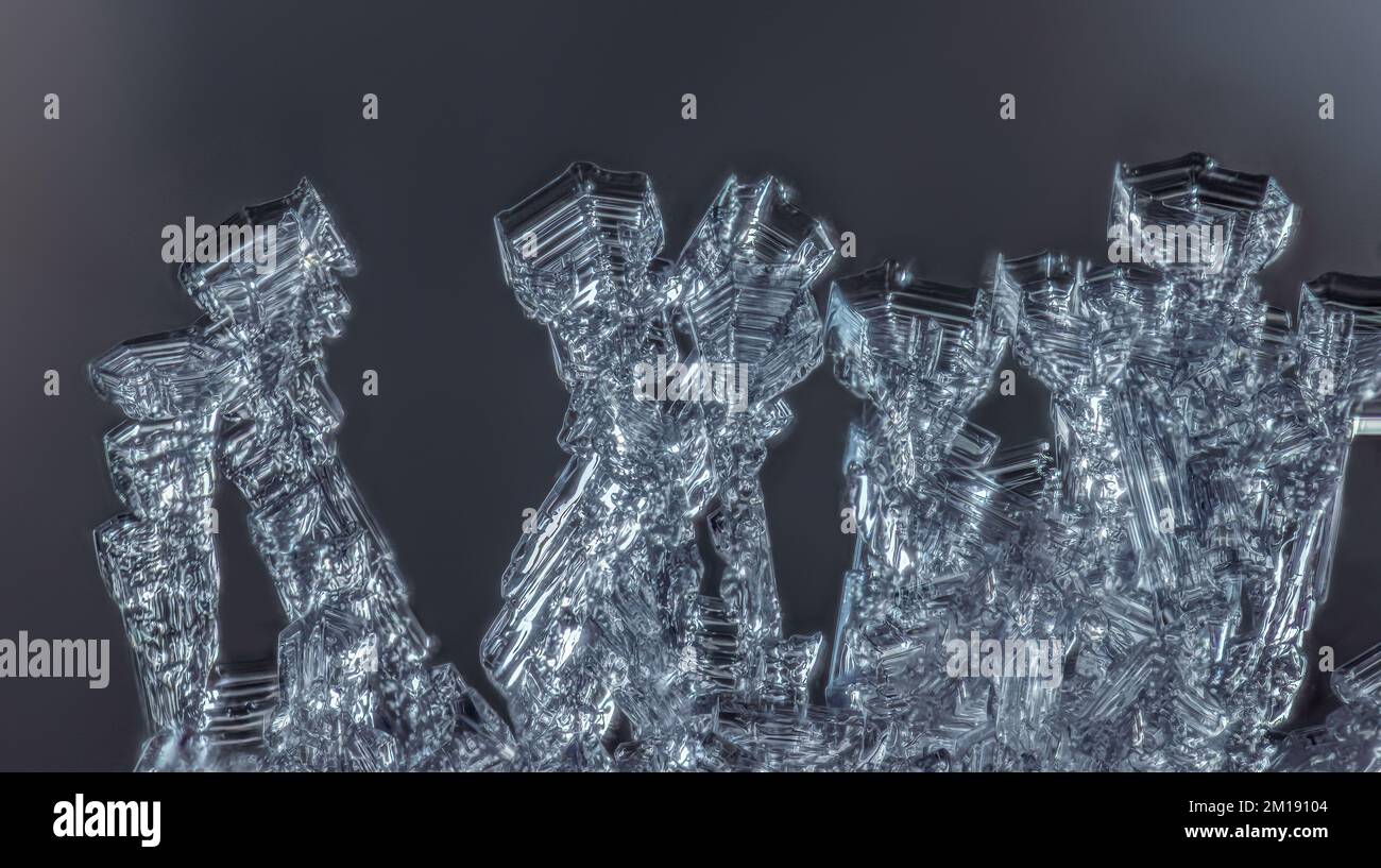 Frost auf einem Ast, klare Frostkristalle auf einem Ast Stockfoto
