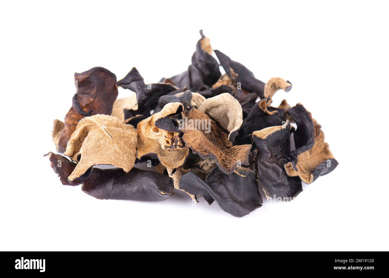 Trockener schwarzer Pilz, isoliert auf weißem Hintergrund. Chinesischer schwarzer Pilz oder Baum schwarzer Muer Pilz. Auricularia polytricha Stockfoto
