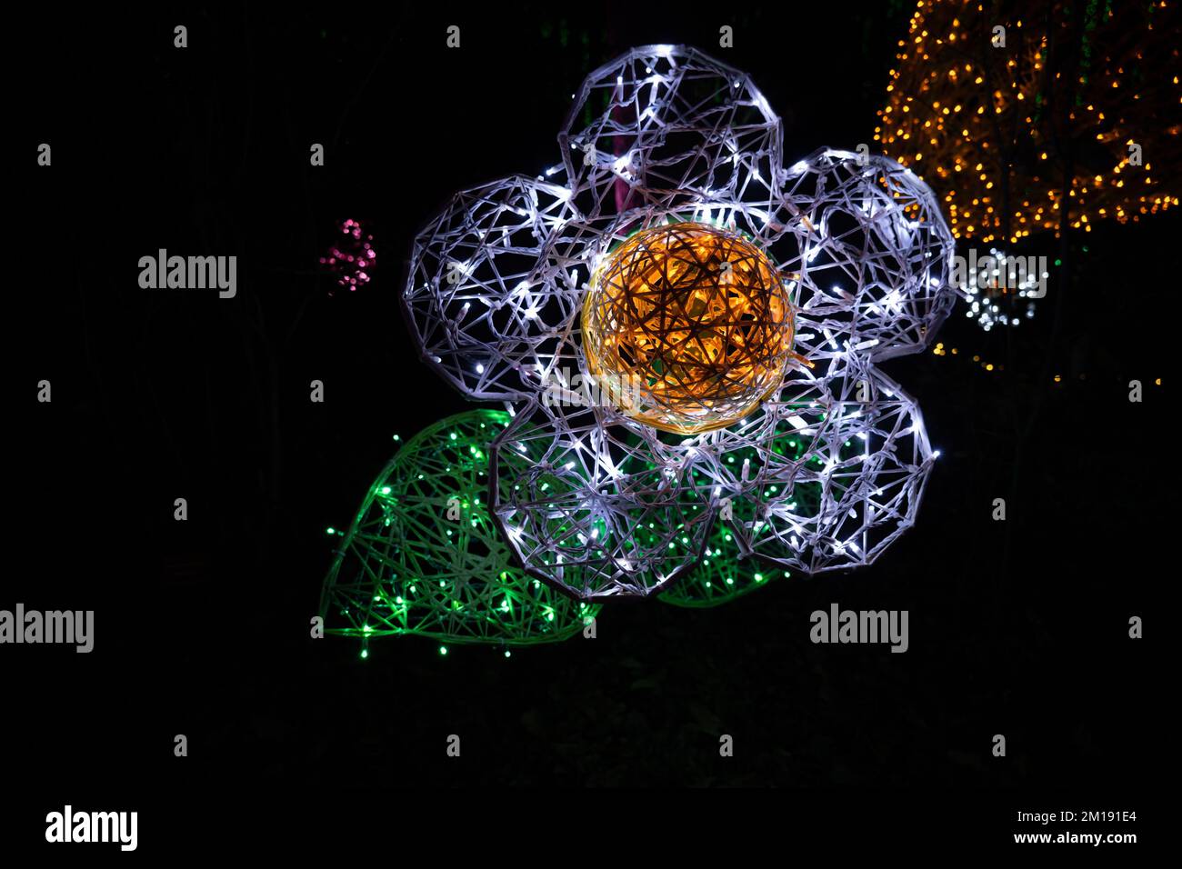Ein Weihnachtsblumen-Display Stockfoto