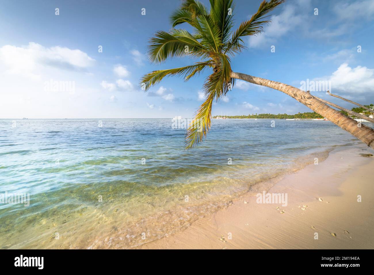 Palmen und tropischer idyllischer Strand in Punta Cana, türkisfarbenes karibisches Meer Stockfoto