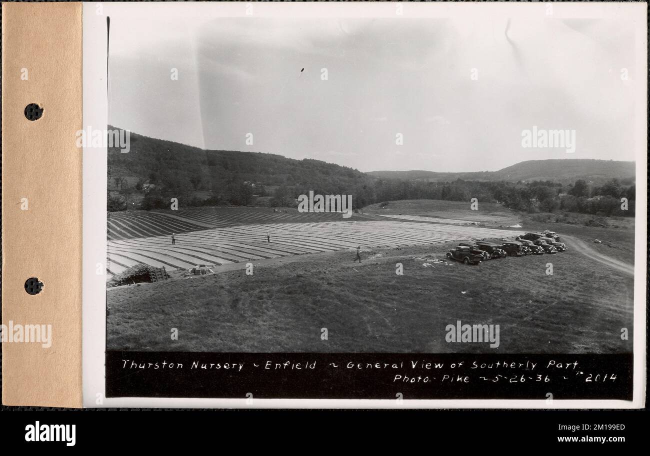 Thurston Nursery, General view of Southerly part, Enfield, Mass., 26. Mai 1936 : Parcel no 289-25 , Wasserwerke, Reservoirs, Wasserverteilungsstrukturen, Forstwirtschaft, Baumschulen, Gartenbau, Kraftfahrzeuge Stockfoto