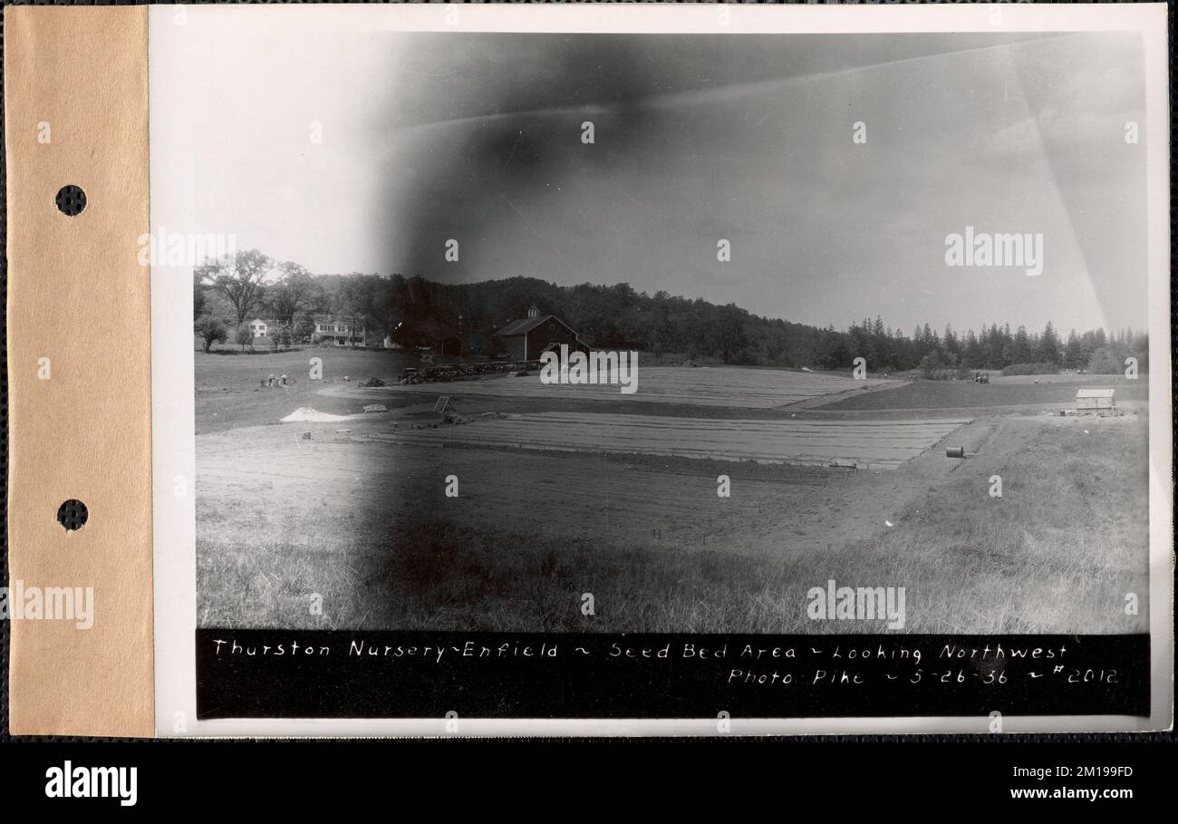 Thurston Nursery, Saatbettbereich, Nordwesten, Enfield, Mass., 26. Mai 1936 : Parzelle Nr. 289-25 , Wasserwerke, Reservoirs, Wasserverteilungsstrukturen, Forstwirtschaft, Baumschulen, Gartenbau Stockfoto