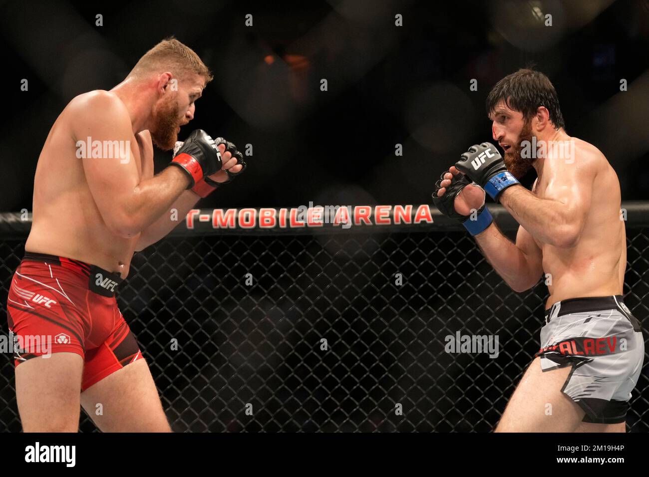 Las Vegas, Nevada, Usa. 10.. Dezember 2022. T-Mobile Arena LAS VEGAS, NV - 10. DEZEMBER: (L-R) Jan Blachowicz kämpft am 10. Dezember 2022 in Las Vegas, Nevada, USA, gegen Magomed Ankalaev im Leichtgewichtskampf während der UFC 282 in der T-Mobile Arena. (Foto: Louis Grasse/PxImages) (Louis Grasse/SPP) Kredit: SPP Sport Press Photo. Alamy Live News Stockfoto