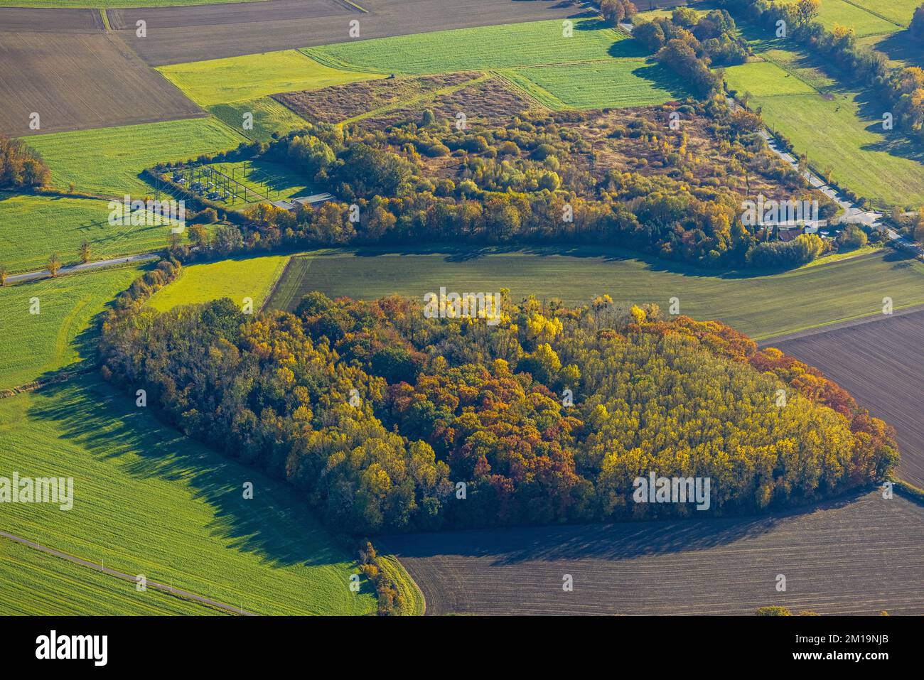 Luftaufnahme, Waldstück und kleines Umspannwerk mit dem Hügel Martinstraße im Bezirk Pelkum in Hamm, Ruhrgebiet, Nordrhein-Westfalen, Deutschland, DE, E Stockfoto
