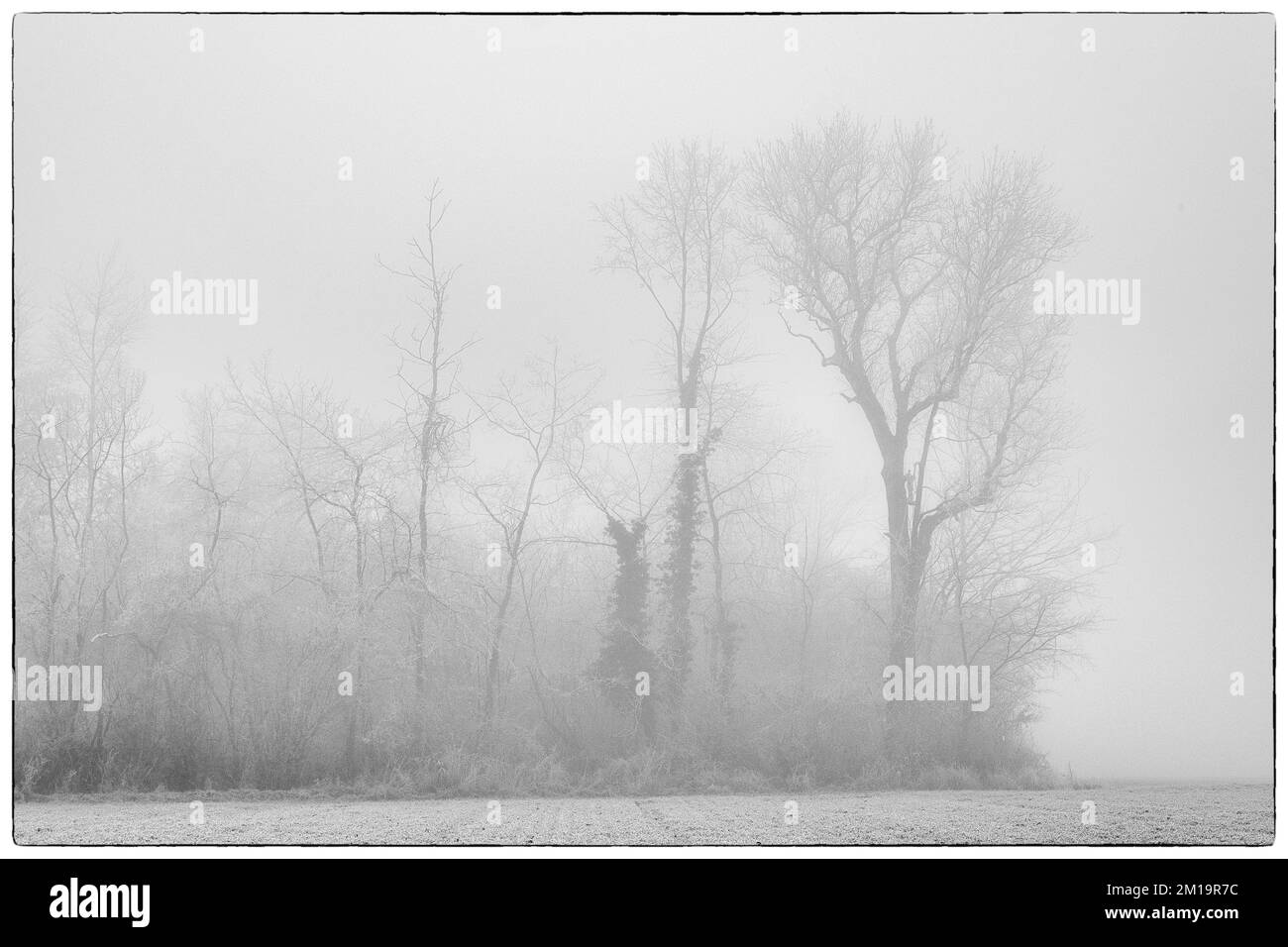 Morgennebel auf dem Land | Brouillard matinal sur les campagnes et les Routes de campagnes Stockfoto