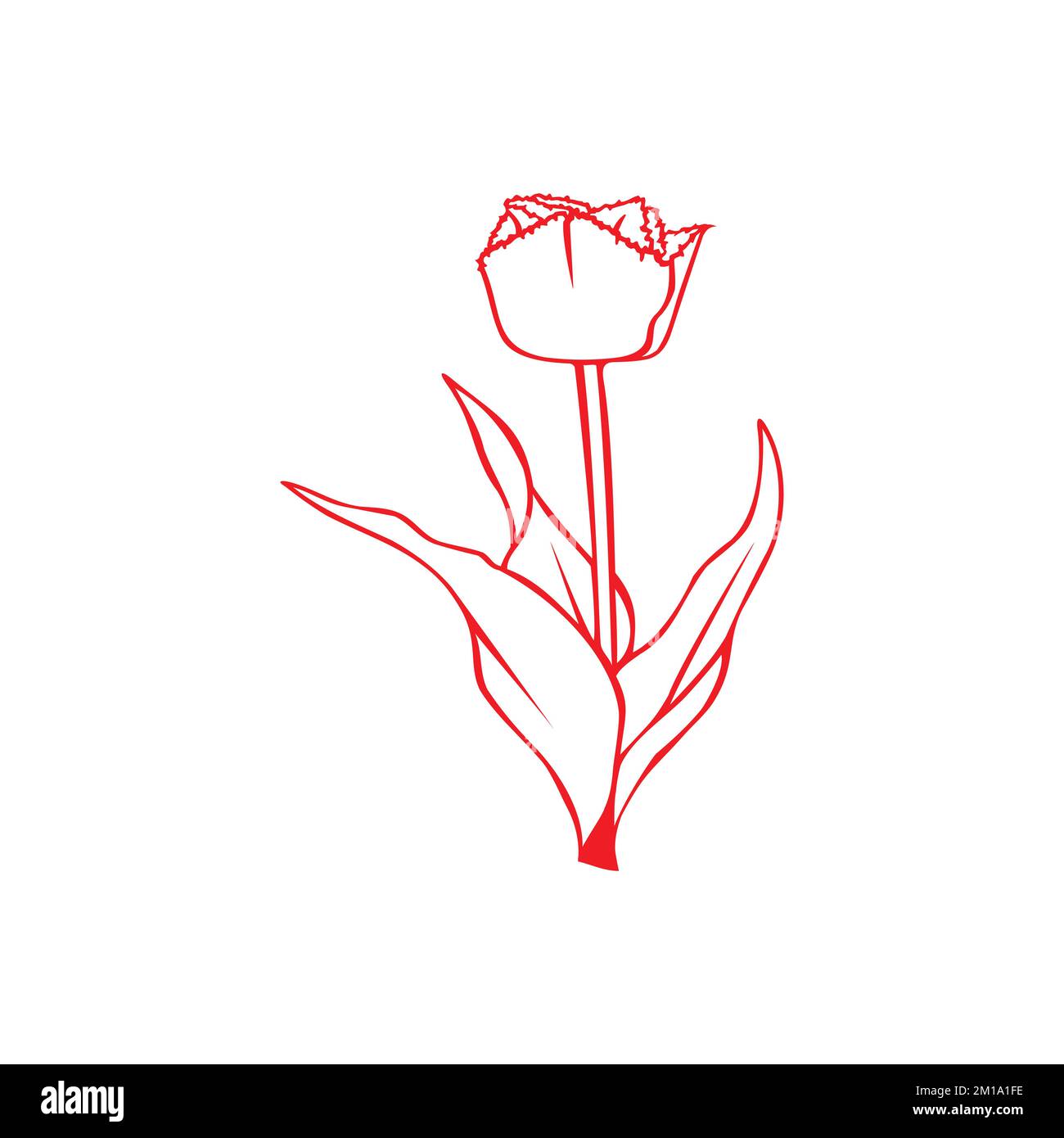 Eine Linie zeichnet eine rote Rosenvektorvorlage mit weißem Hintergrund Stock Vektor