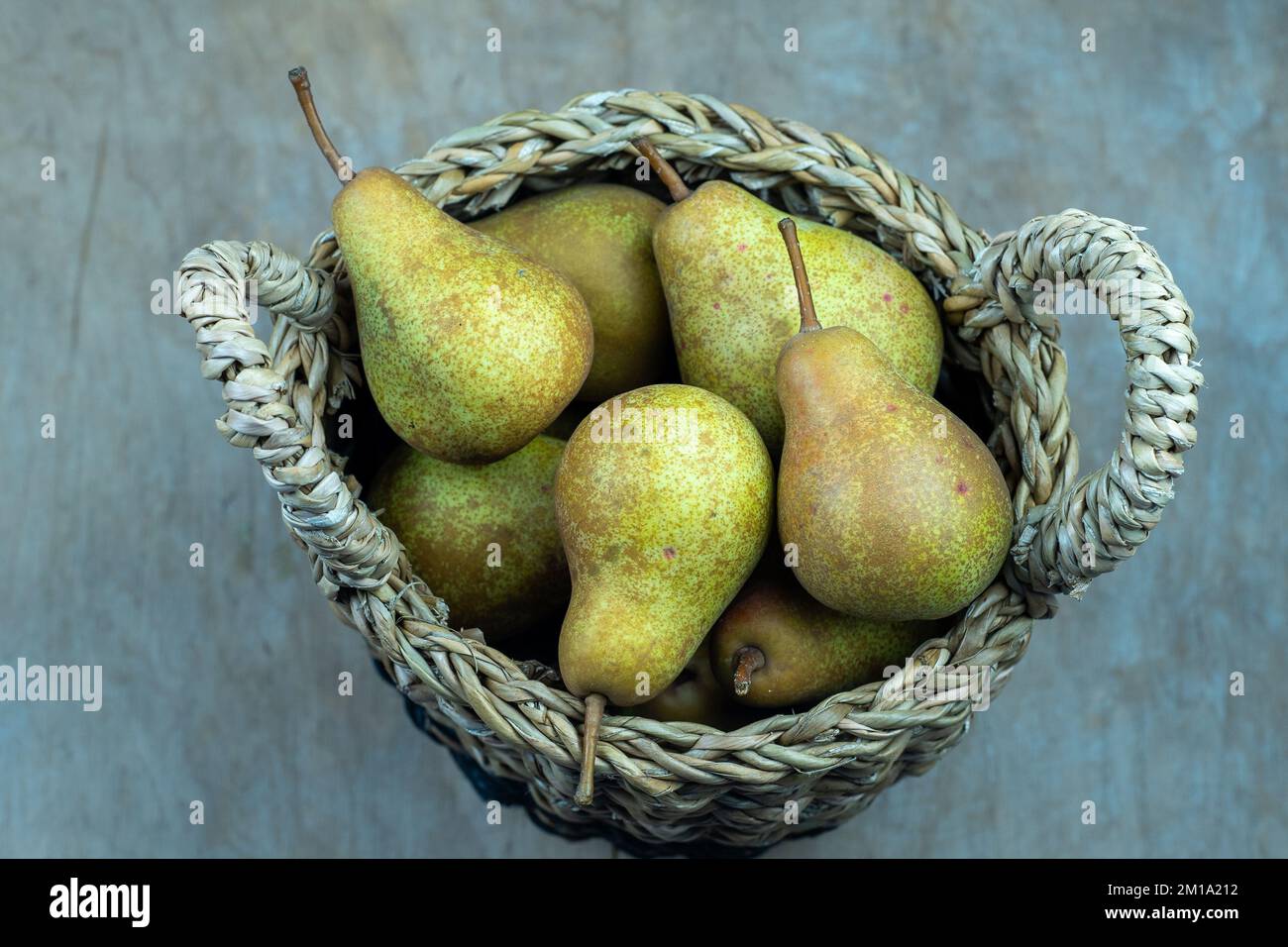 Birnen im Korb auf einem hölzernen Hintergrund. Obsternte. Stillleben im Herbst. Pear Variety Bera Konferenz. Vitaminfutter. Stockfoto