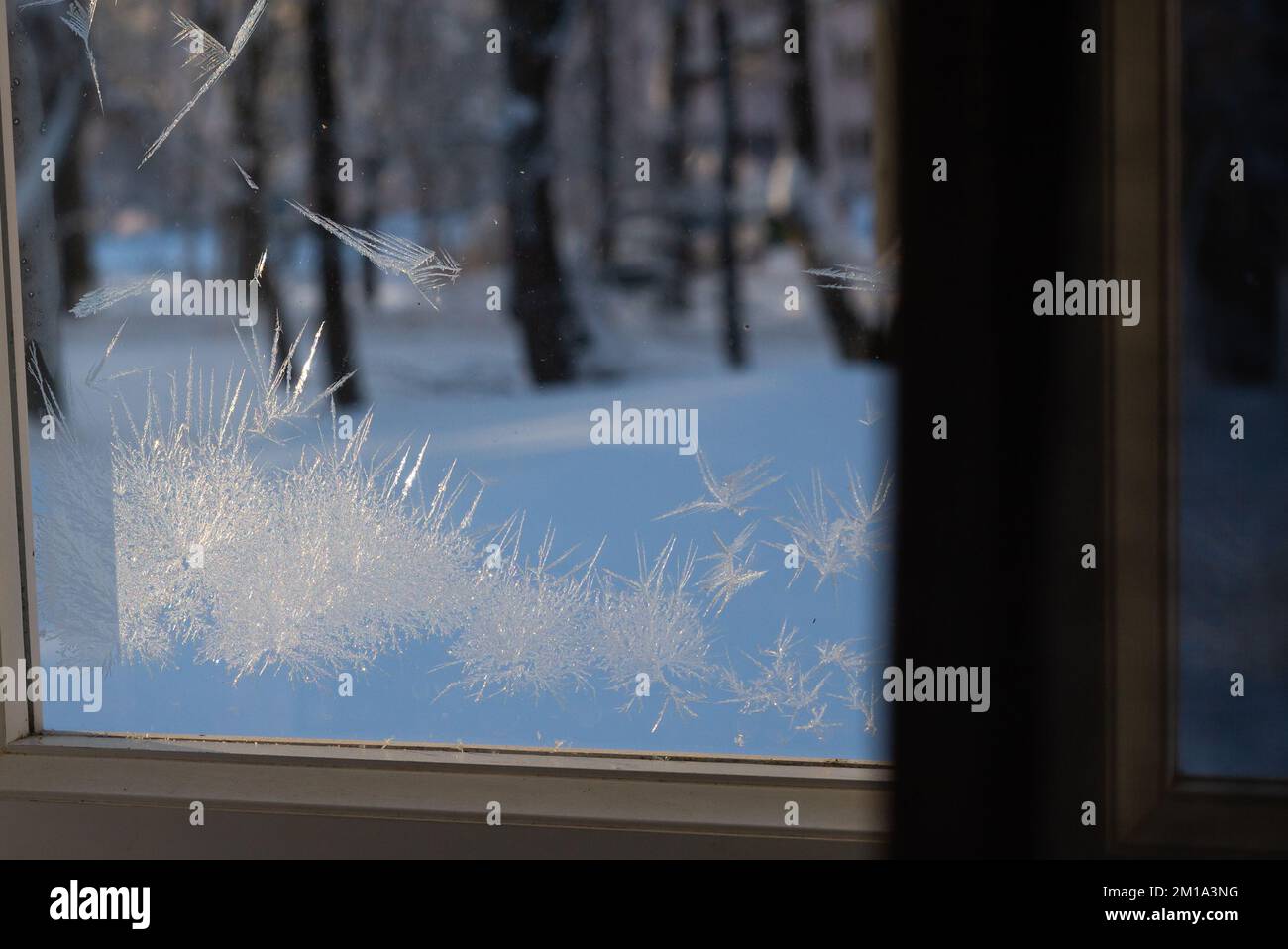 Eiszapfen auf einer Fensterscheibe an einem kalten Wintertag. Das Sonnenlicht scheint durch das Glas im Raum und erzeugt Schatten von Eisblumen auf dem Holz Stockfoto