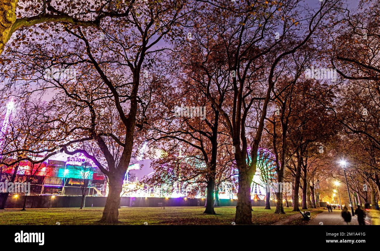 Traditionelle Bäume im Hyde Park bei Nacht London UK Stockfoto