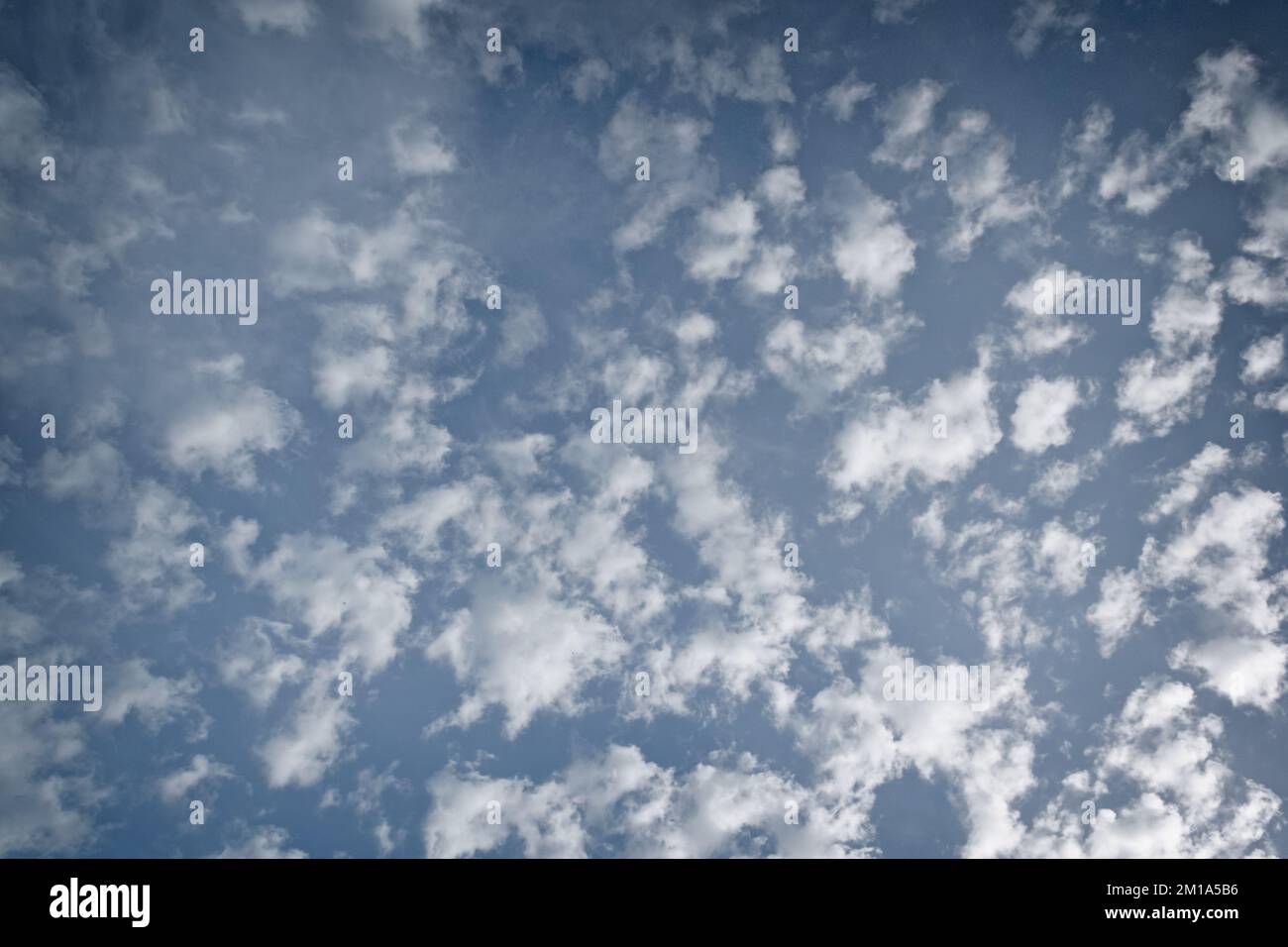 Weiße Altocumulus-Wolken, mit Seitenlicht, vor blauem Himmel; Landschaftsorientierung. Stockfoto