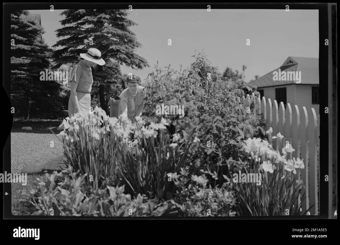 Zwei Frauen schauen Blumen im Garten an, Gärten, Blumen. Samuel Chamberlain Fotosammlung Negatives Stockfoto