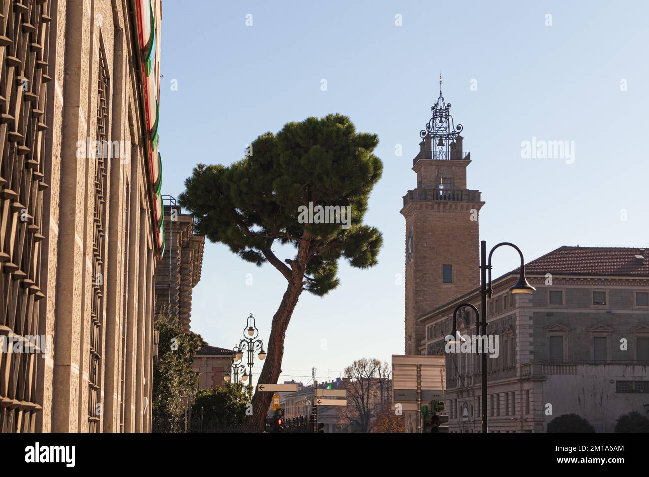 Ein grüner Baum mitten in einer italienischen Straße mit blauem Himmel Stockfoto