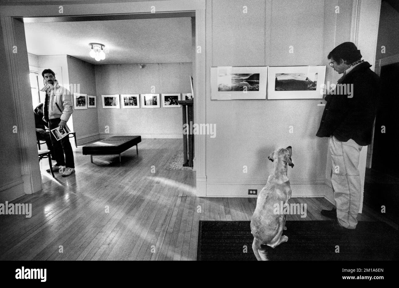 Paul „Rudy“ Nelson und Lady Nelson sehen Fotos von sich selbst in der Rourke Art Gallery in Moorhead, Minnesota. Die Fotoausstellung war Life ’bis 40 by Stockfoto