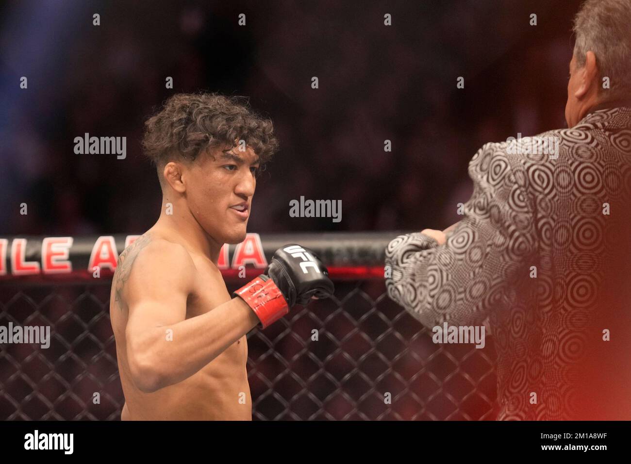 10. Dezember 2022, Las Vegas, Nevada, Las Vegas, NV, Vereinigte Staaten: LAS VEGAS, NV - DEZEMBER 10: Raul Rosas Jr. bereitet sich auf den Kampf gegen Jay Perrin im Bantamweight während der UFC 282-Veranstaltung in der T-Mobile Arena am 10. Dezember 2022 in Las Vegas, Nevada, USA, vor. (Kreditbild: © Louis Grasse/PX Imagens via ZUMA Press Wire) Stockfoto