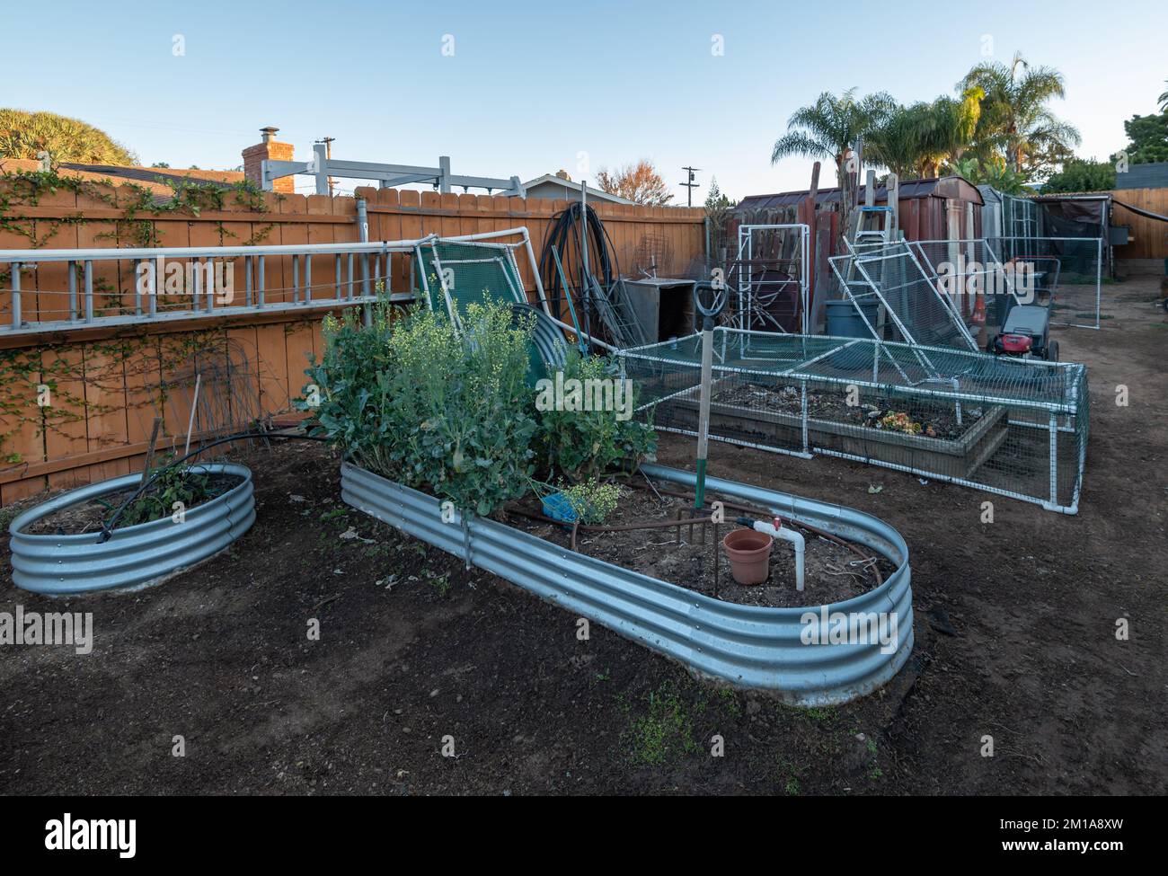 Erhöhte Gartenbetten in einem Hinterhof. Stockfoto