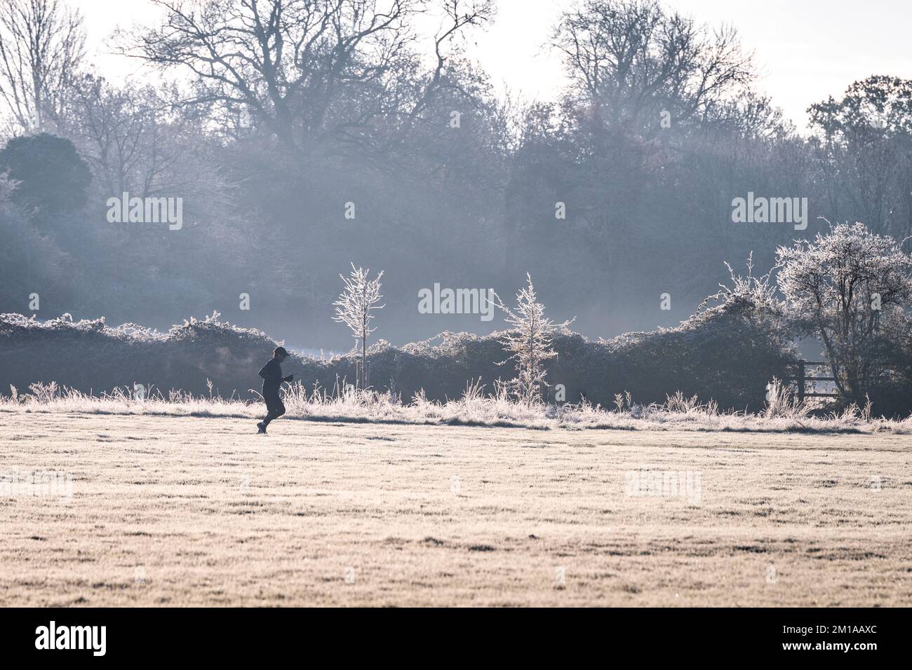 Ein einsamer Läufer trainiert an einem kalten, frostigen Wintermorgen in einem Park. Stockfoto