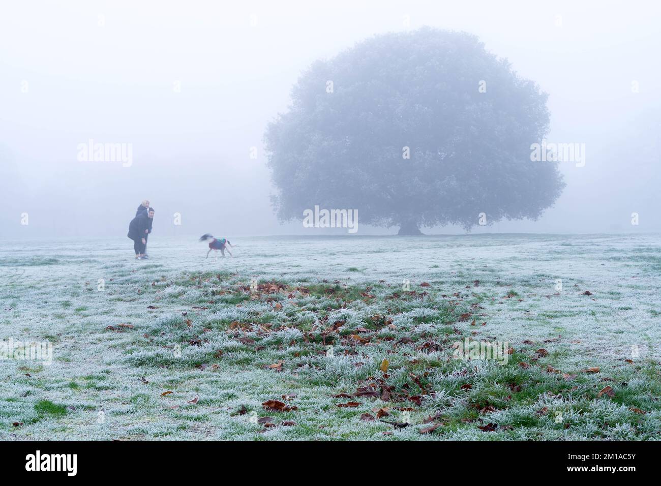 London UK 10 . Dezember 2022 . Wetter in Großbritannien. Der Londoner Park ist heute mit hartem Frost bedeckt, während Weihnachtseinkäufer ihre Geschäfte im Nebel erledigen, während der brutale arktische Frost die Temperaturen in der Nähe des Dorfes Blackheath im Südosten Londons, England, erhöht. Kredit: Glosszoom/Alamy Live News Stockfoto