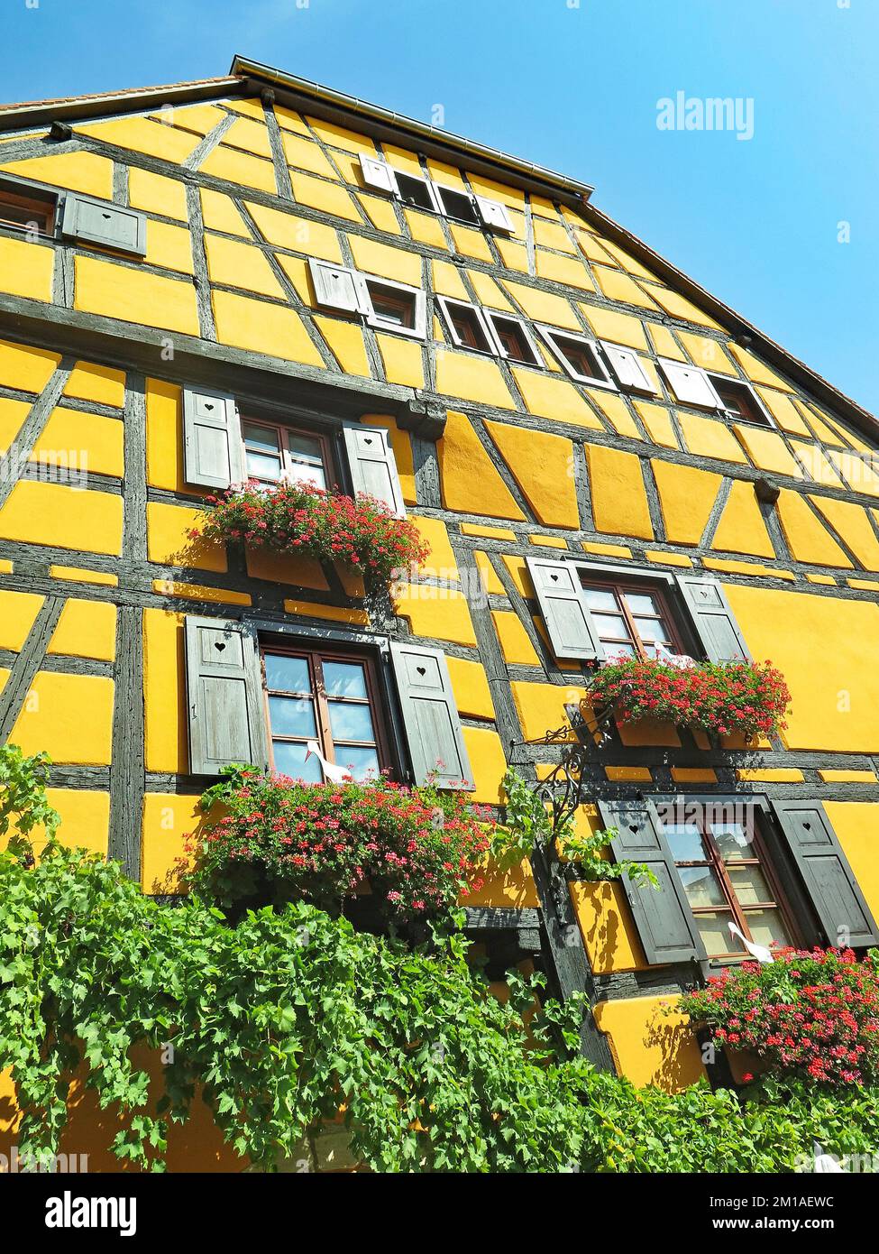 Riquewihr, Reichenweier, Departement Haut-Rhin, Elsass; Frankreich, Europa Stockfoto