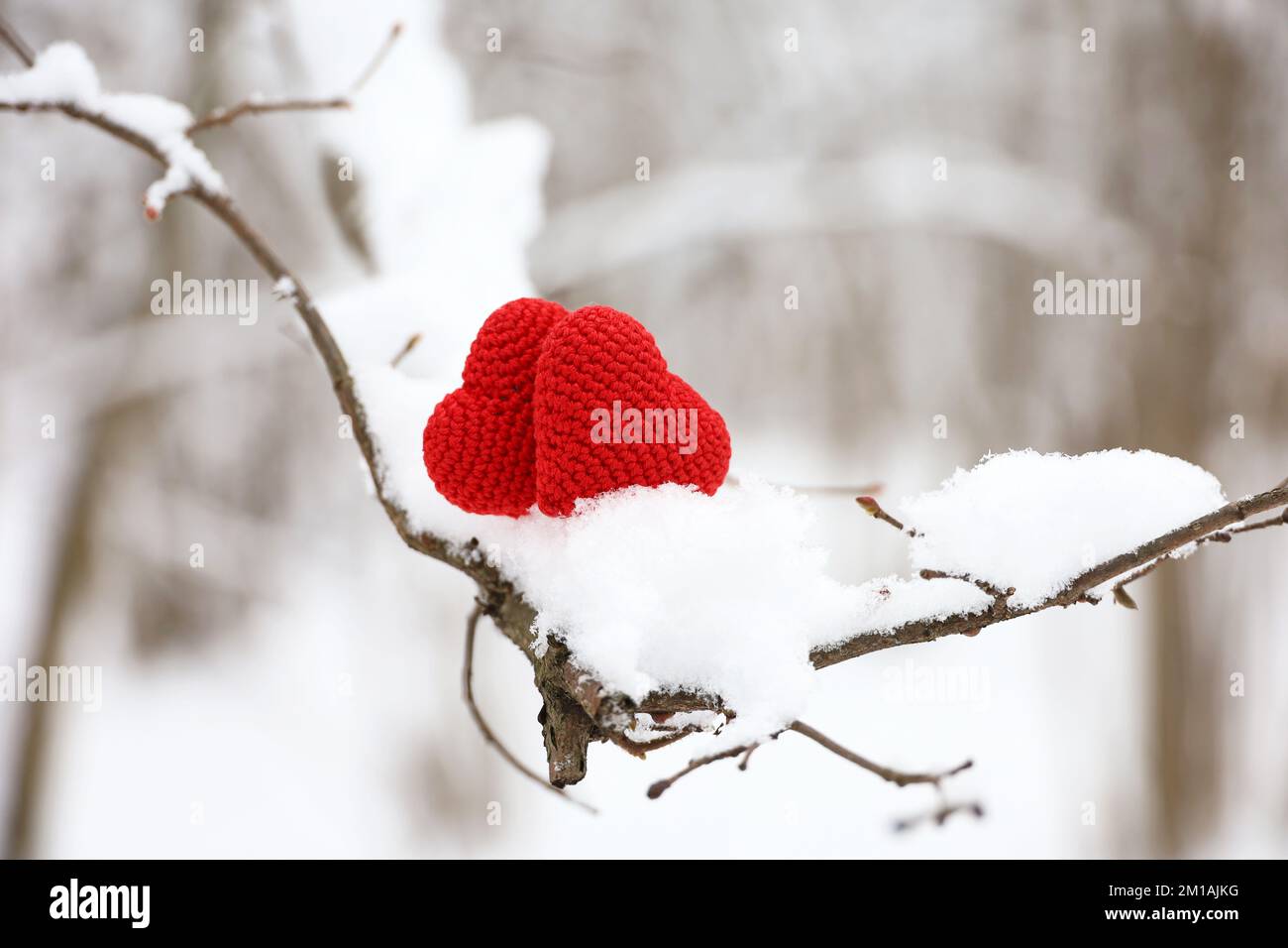 Zwei gestrickte Liebesherzen auf einem Ast, der im Winterwald mit Schnee bedeckt ist. Konzept der Neujahrsfeier oder des Valentinstages Stockfoto