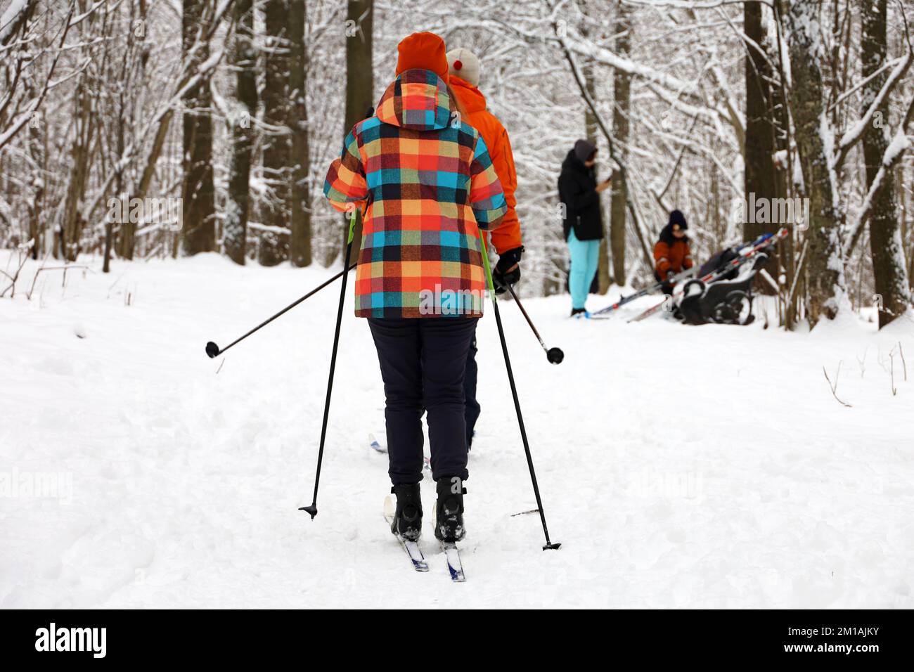 Skifahrer, Freizeitaktivitäten für die ganze Familie im Freien. Mädchen und Männer, die im Winterwald am Schnee vorbeilaufen Stockfoto