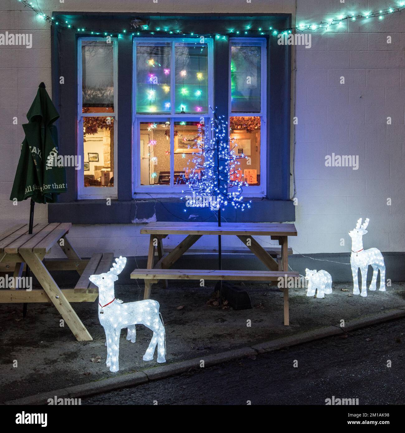 Hell beleuchtete Rentiere sind Teil der Weihnachtsbeleuchtung und Dekoration der Maypole im Dezember 2022. Long Preston Weihenhaus Lichter. Stockfoto