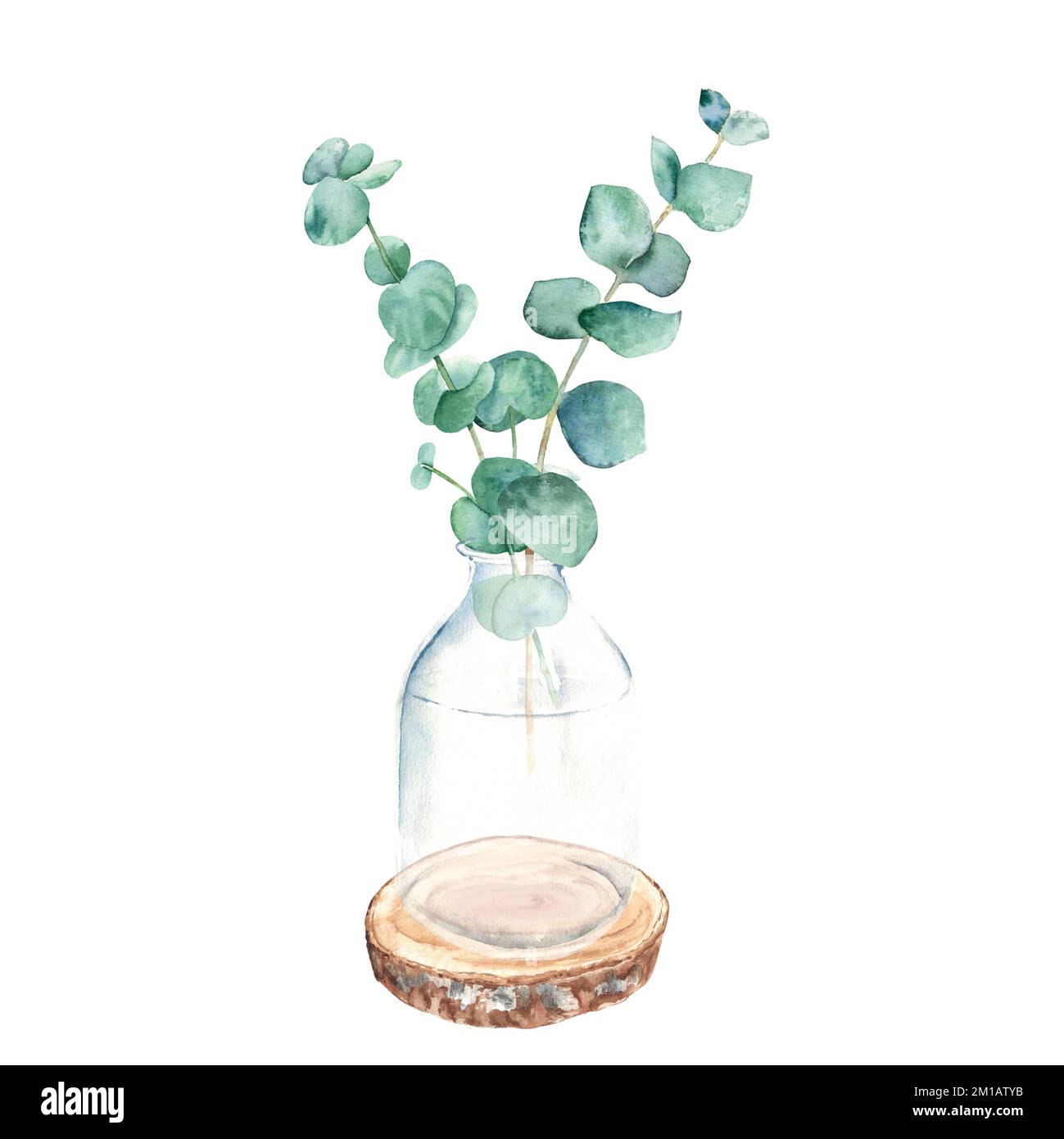 Eukalyptuszweig in Vase, Becher auf rundem Holzsägebogen. Handgezeichnete botanische Darstellung in Aquarell, isoliert auf weißem Hintergrund. Eco-minimalistisch Stockfoto