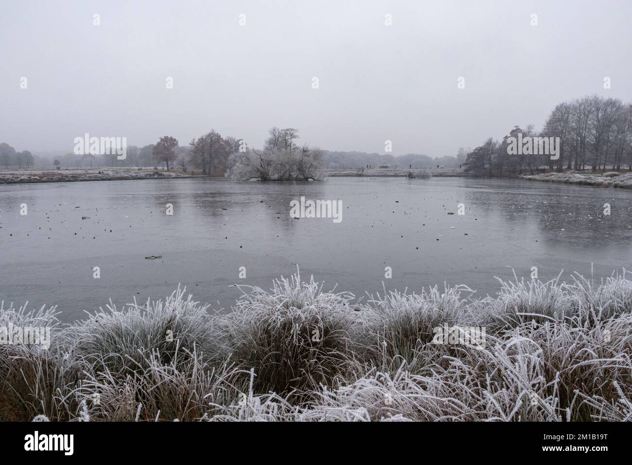 Blick über den gefrorenen unteren Teich bei Pen Ponds im Winter, Richmond Park, Surrey, Großbritannien. Stockfoto