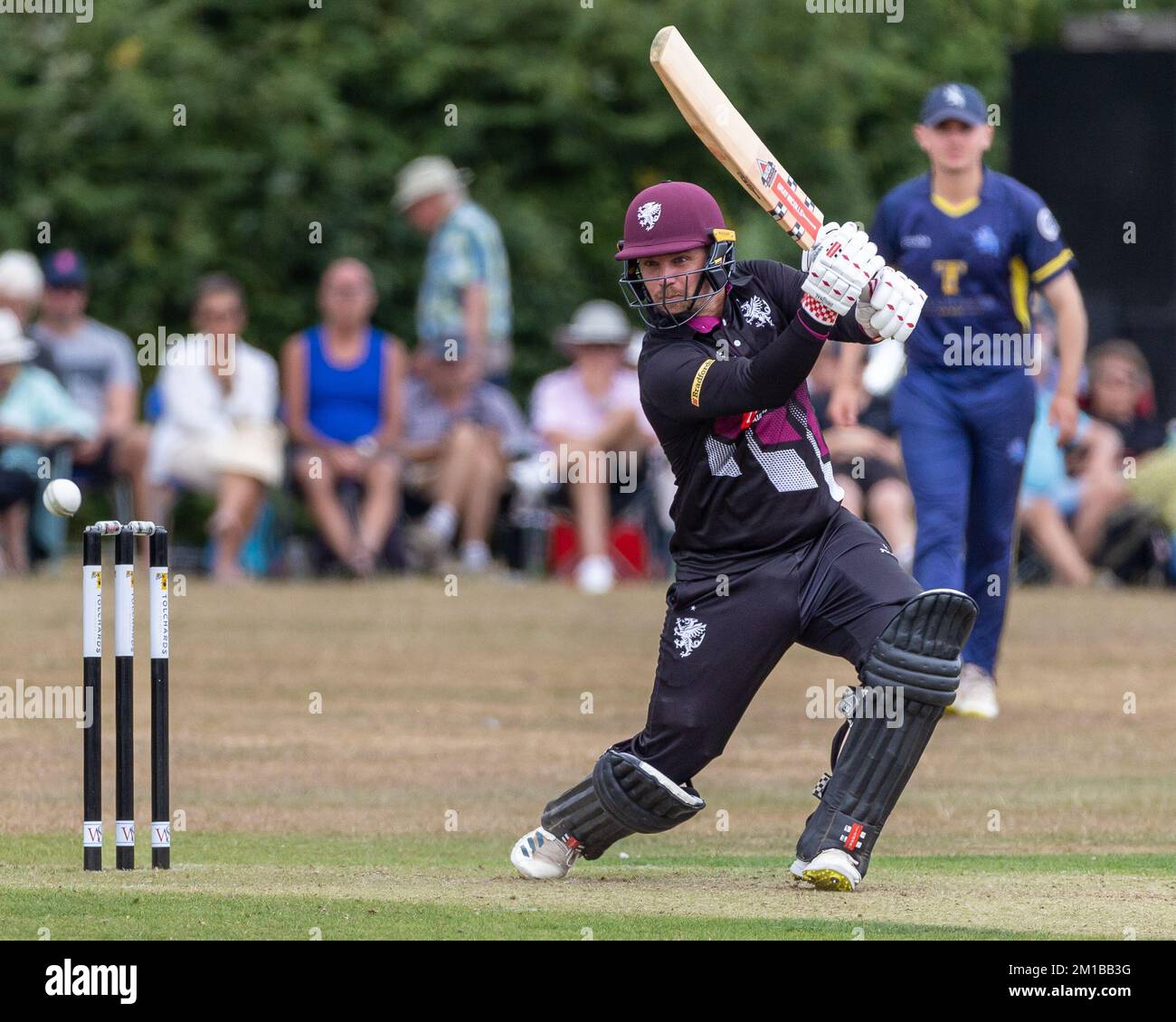 Der Cricket-Spieler James Hildreth von Somerset CCC in einem Spiel gegen Devon CCC bei Bovey Trace Stockfoto