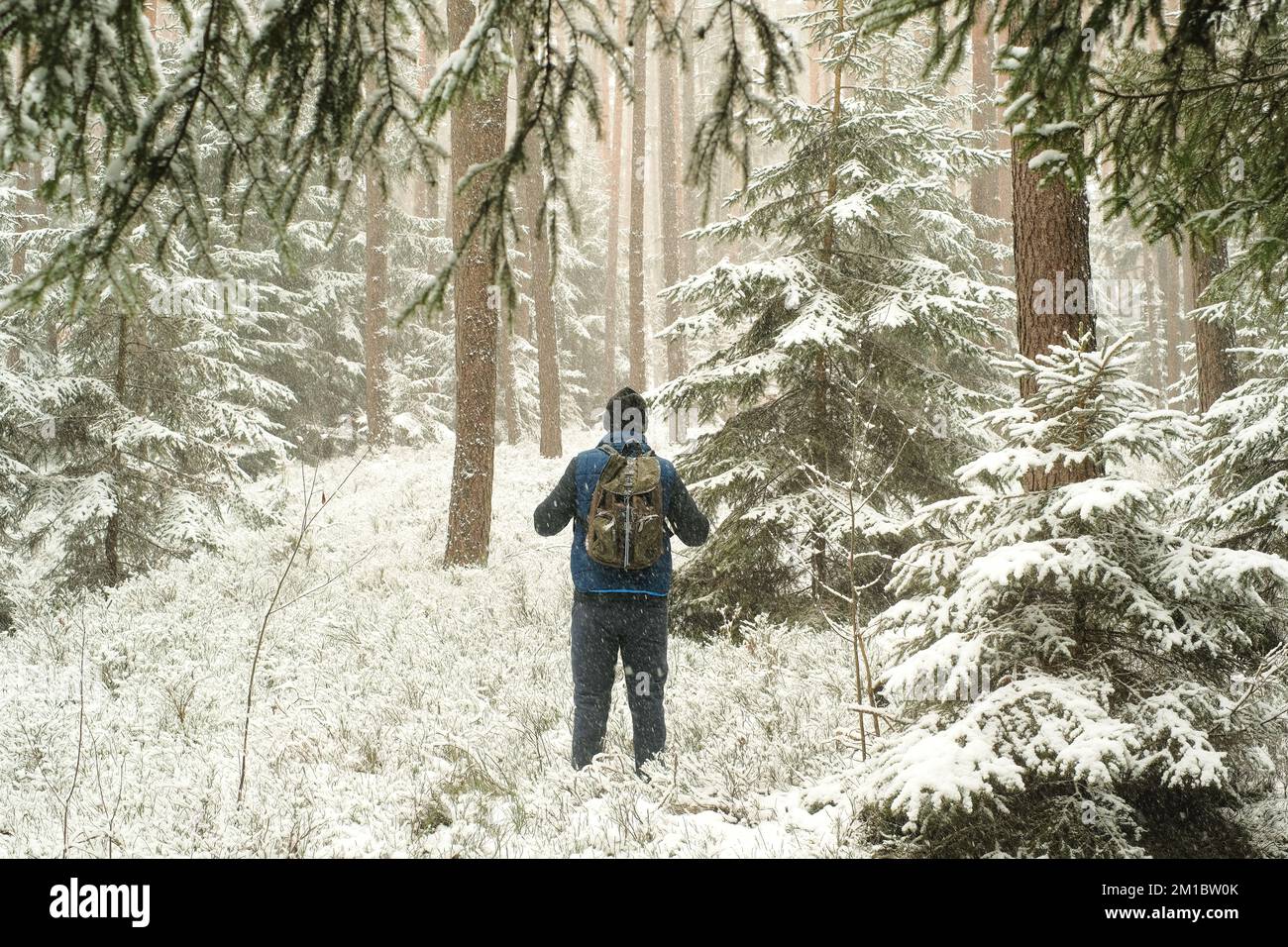 Reisen und Wandern in der Wintersaison. Mann mit Rucksack bei schneebem Wetter. Schneefall im Wald. Mensch in der natürlichen Umgebung in der kalten Jahreszeit Stockfoto