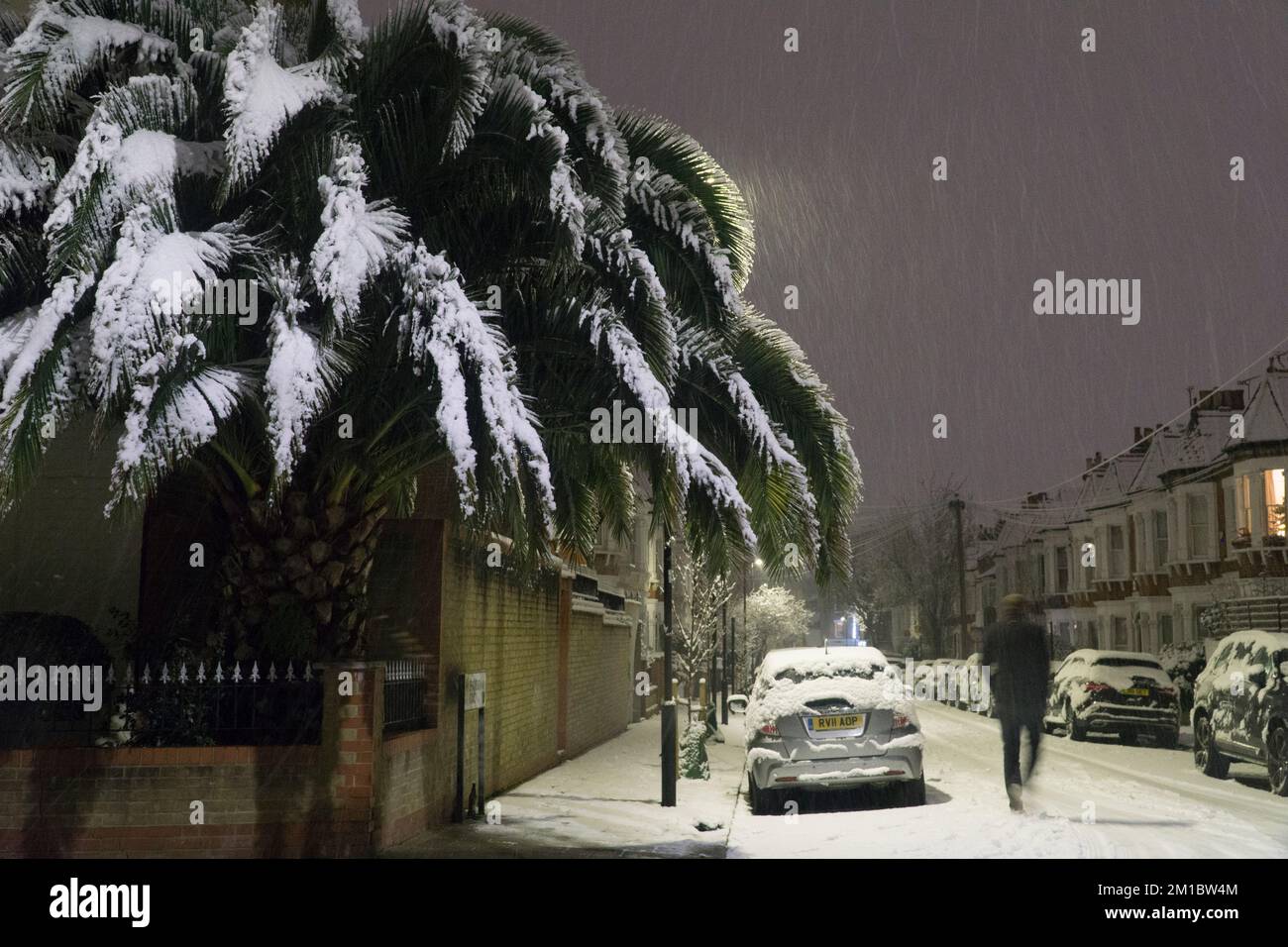Wetter im Vereinigten Königreich, London, 11. Dezember 2022: Am Sonntagabend fielen fünf Zentimeter Schnee auf London, während sie in einem malerischen Winterwunderland in einem Vorort von Clapham Bäume, Fahrzeuge und Straßen drehten. Am Montagmorgen wird mit Reiseunterbrechungen gerechnet. Anna Watson/Alamy Live News Stockfoto
