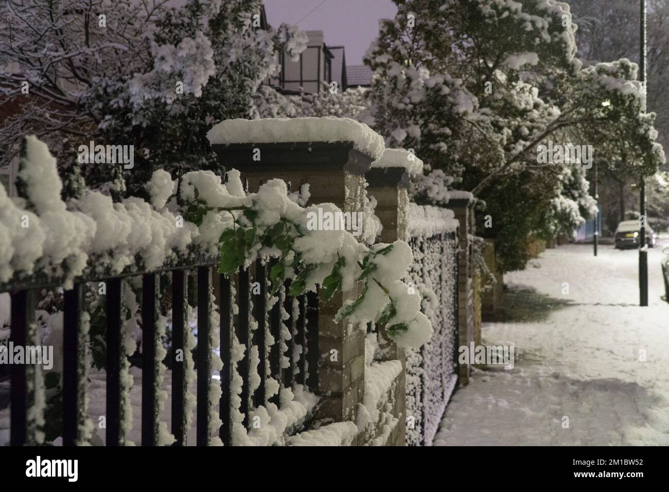 Wetter im Vereinigten Königreich, London, 11. Dezember 2022: Am Sonntagabend fielen fünf Zentimeter Schnee auf London, während sie in einem malerischen Winterwunderland in einem Vorort von Clapham Bäume, Fahrzeuge und Straßen drehten. Am Montagmorgen wird mit Reiseunterbrechungen gerechnet. Anna Watson/Alamy Live News Stockfoto