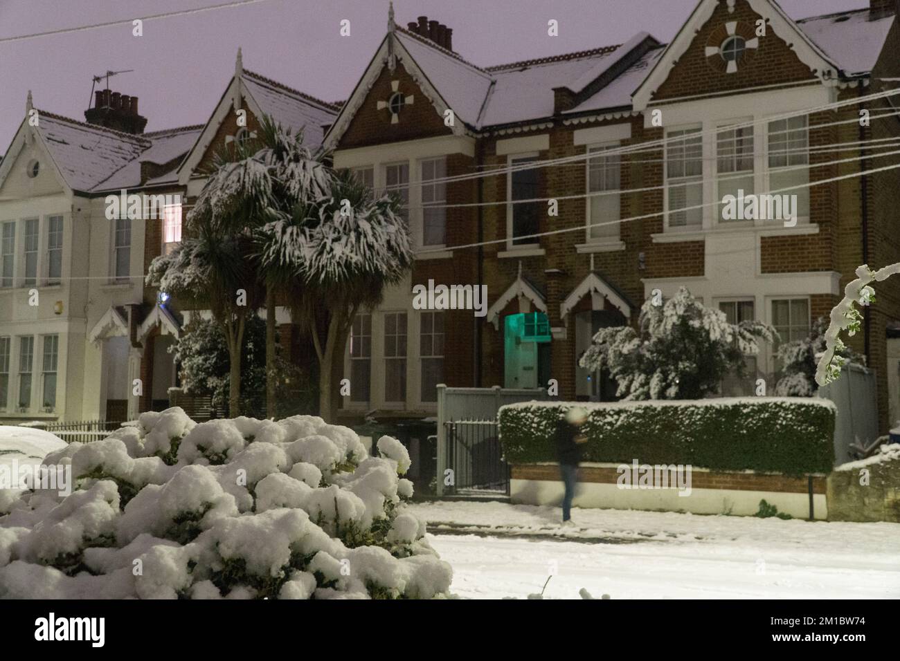 Wetter im Vereinigten Königreich, London, 11. Dezember 2022: Am Sonntagabend fielen fünf Zentimeter Schnee auf London, während sie in einem malerischen Winterwunderland in einem Vorort von Clapham Bäume, Fahrzeuge und Straßen drehten. Am Montagmorgen wird mit Reiseunterbrechungen gerechnet. Anna Watson/Alamy Live News Stockfoto