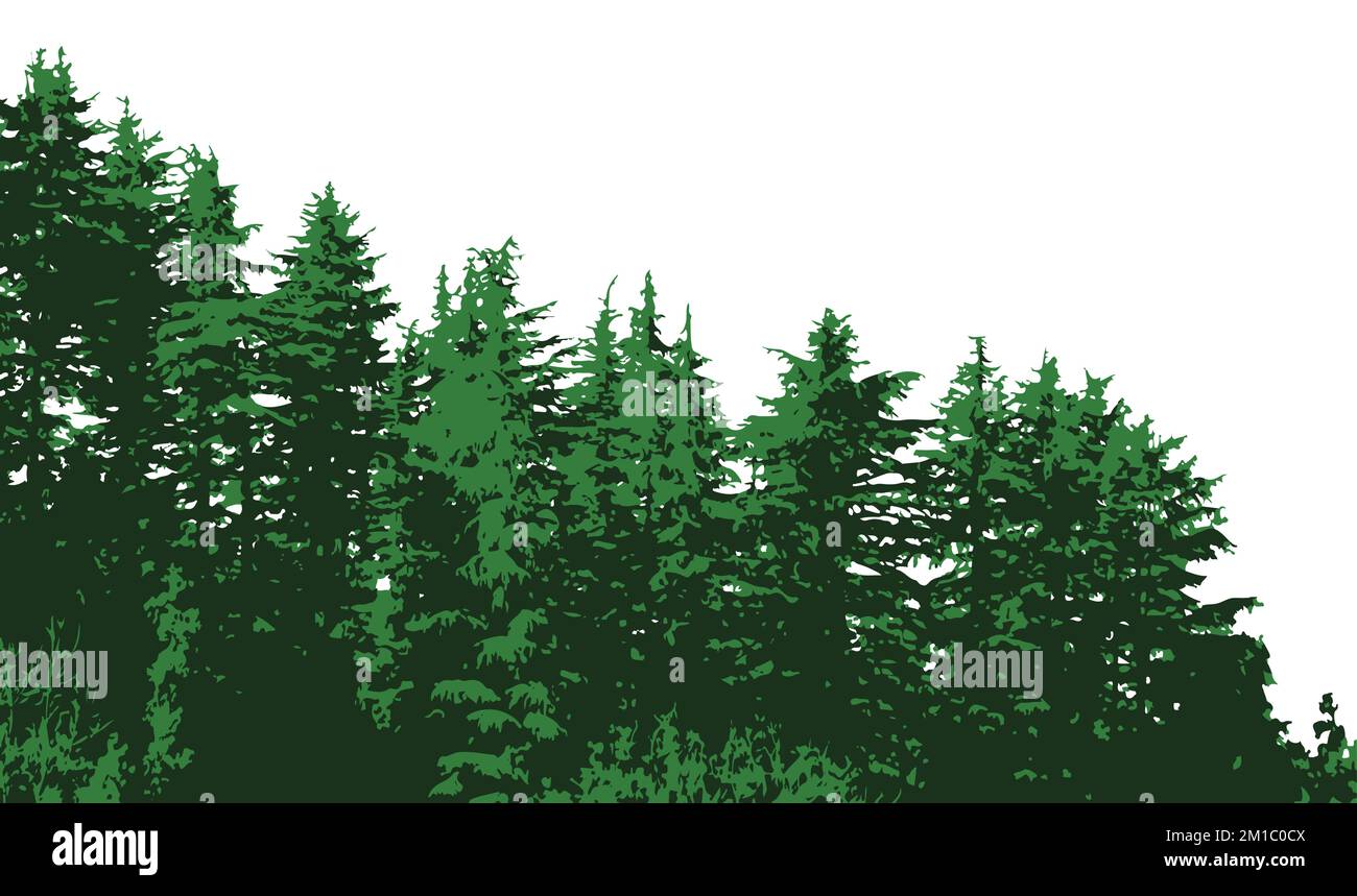 Grüne Holzwälder, isoliert auf weißem Hintergrund, Vestior-Illustration Stock Vektor
