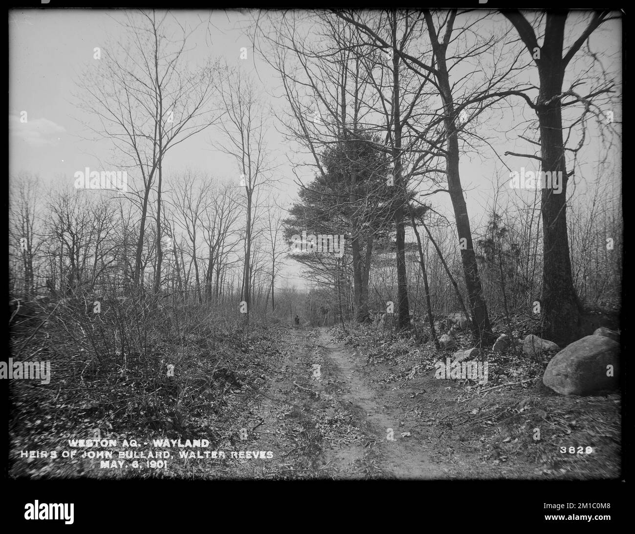 Weston Aqueduct, verlassene Straße, Walter Reeves und Erben von John Bullard, nach Nordwesten, Wayland, Massachusetts, Mai 6, 1901, Wasserwerke, Aquädukte, Immobilien Stockfoto