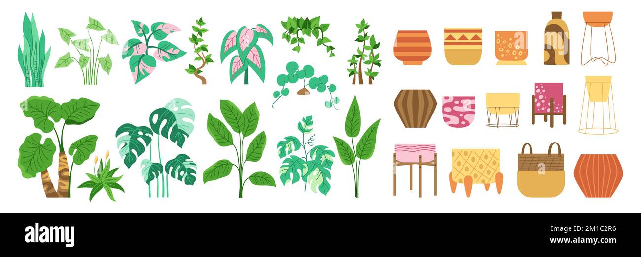 Heimpflanze und Topf, trendiges dekoratives Cartoon-Set. Exotische Zimmerpflanzen, Topfpflanzen, Blumentopf für den Innenbereich. Botanisches Haus, blühende Pflanzen, Keramik im Töpfchen. Einrichtung im urbanen Dschungel mit Flachvektor Stock Vektor