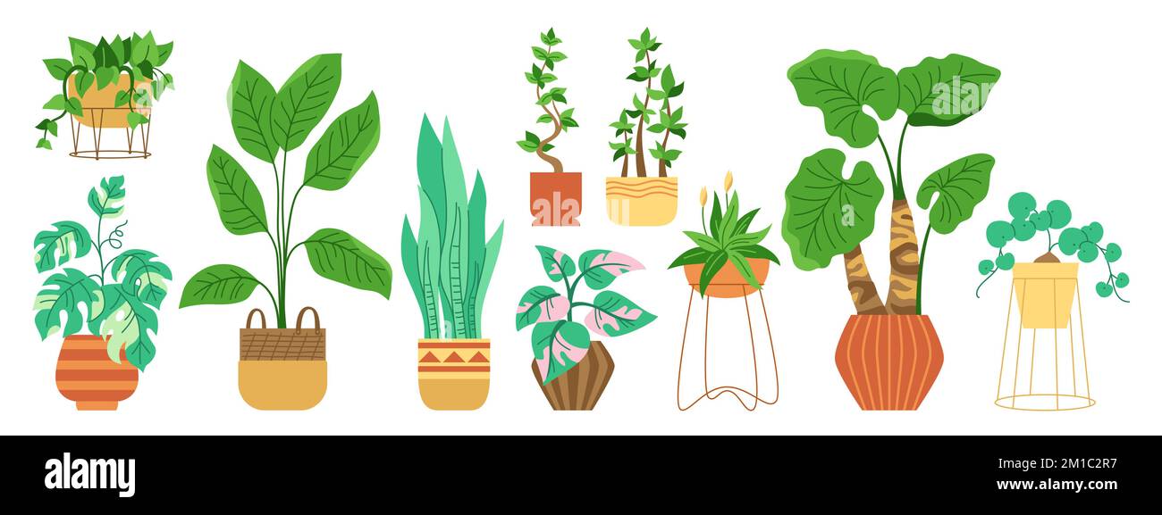 Topfpflanzen im Haus, trendiges dekoratives Cartoon-Set. Exotische Zimmerpflanzen Blumentopf für den Innenbereich. Botanisches Haus blühende Pflanzen in Topf, Blume, Topfkeramik. Einrichtung im urbanen Dschungel mit Flachvektor Stock Vektor