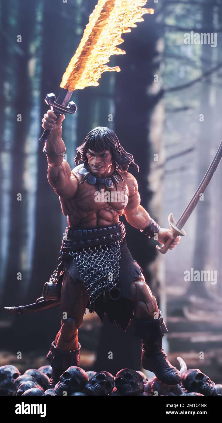 Eine Actionfigur von Conan dem Barbaren mit einem brennenden Schwert auf einem Haufen Schädel in einem Wald Stockfoto
