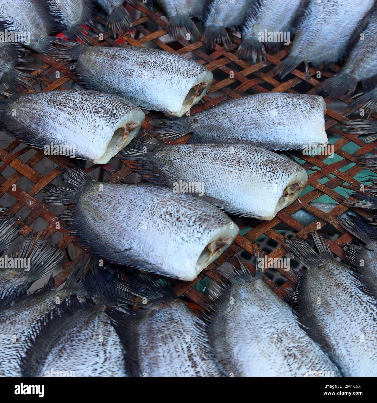 Nahaufnahme von getrockneten Trichogaster Fisch auf dem Markt Stockfoto