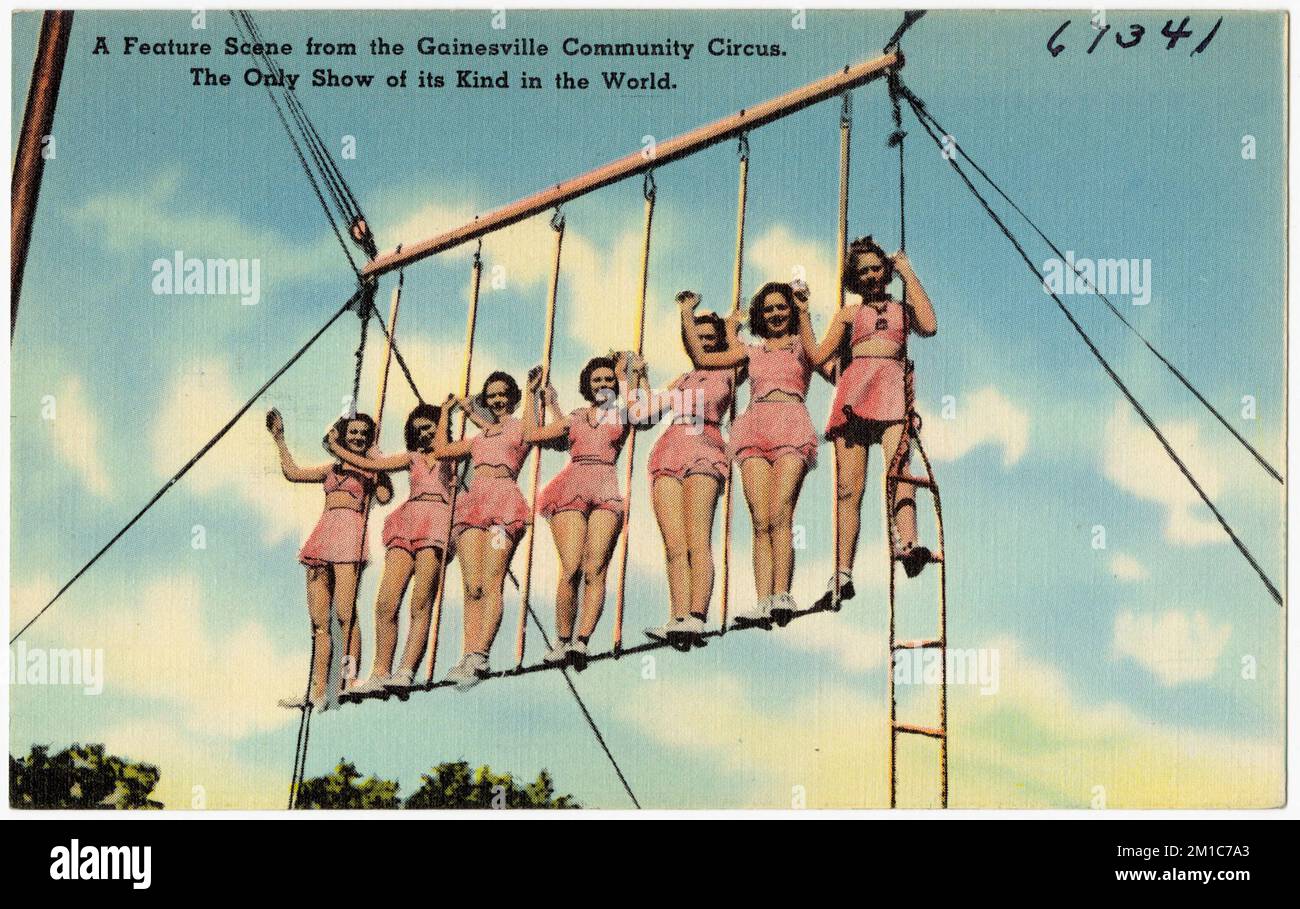 Eine Spielszene aus dem Gainesville Community Circus, der einzigen Show dieser Art in der Welt. , Tichnor Brothers Collection, Postkarten der Vereinigten Staaten Stockfoto