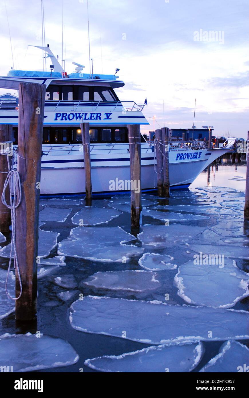 Eis umgibt ein Charterboot, das jetzt auf den Yachthafen an der Küste von Jersey beschränkt ist Stockfoto