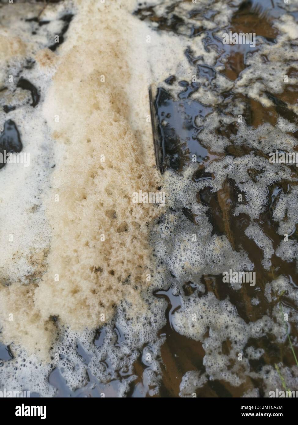 Weiße, bräunliche Schaumlinie, die sich auf dem Fluss der Abflussrinne des Bauernhofs befindet. Stockfoto