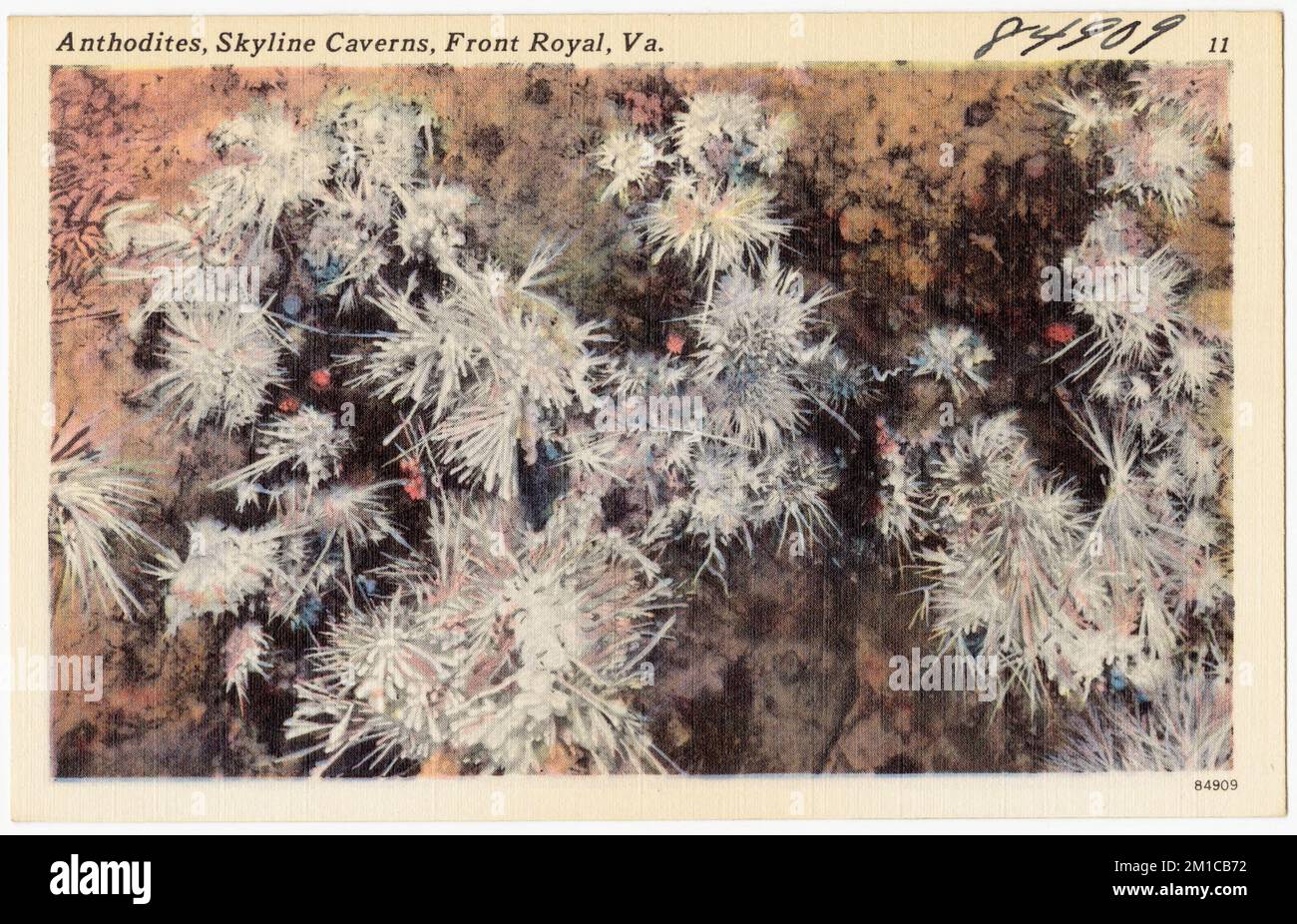 Anthoditen, Skyline Caverns, Front Royal, Virginia , Höhlen, Tichnor Brothers Collection, Postkarten der Vereinigten Staaten Stockfoto