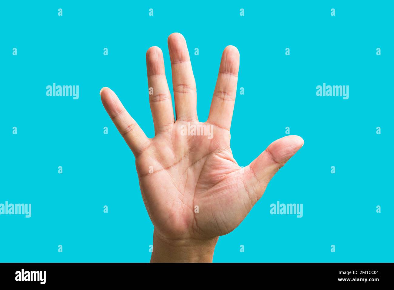 Handfläche eines Mannes mit fünf Fingern, die nach oben zeigen. Auf blauem Hintergrund. Stockfoto