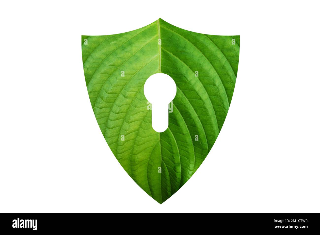 Grüner Schild schützt die Natur und die Umwelt auf weißem Hintergrund. Stockfoto