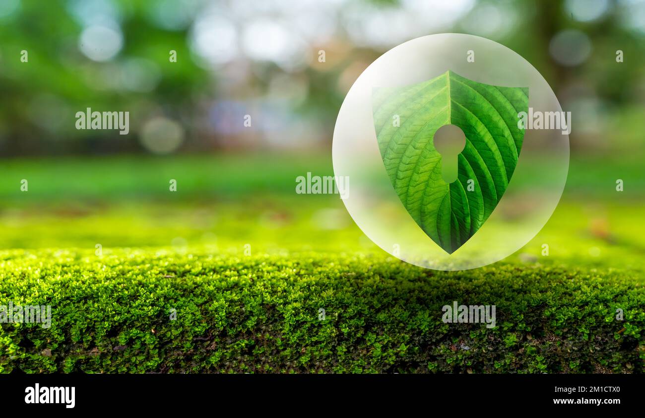 Der grüne Schild schützt die Natur und die Umwelt. Stockfoto