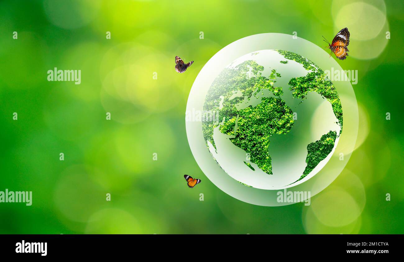 Grüne Kugel im Inneren Konzeptballons zum Schutz der Umwelt und der Natur Stockfoto