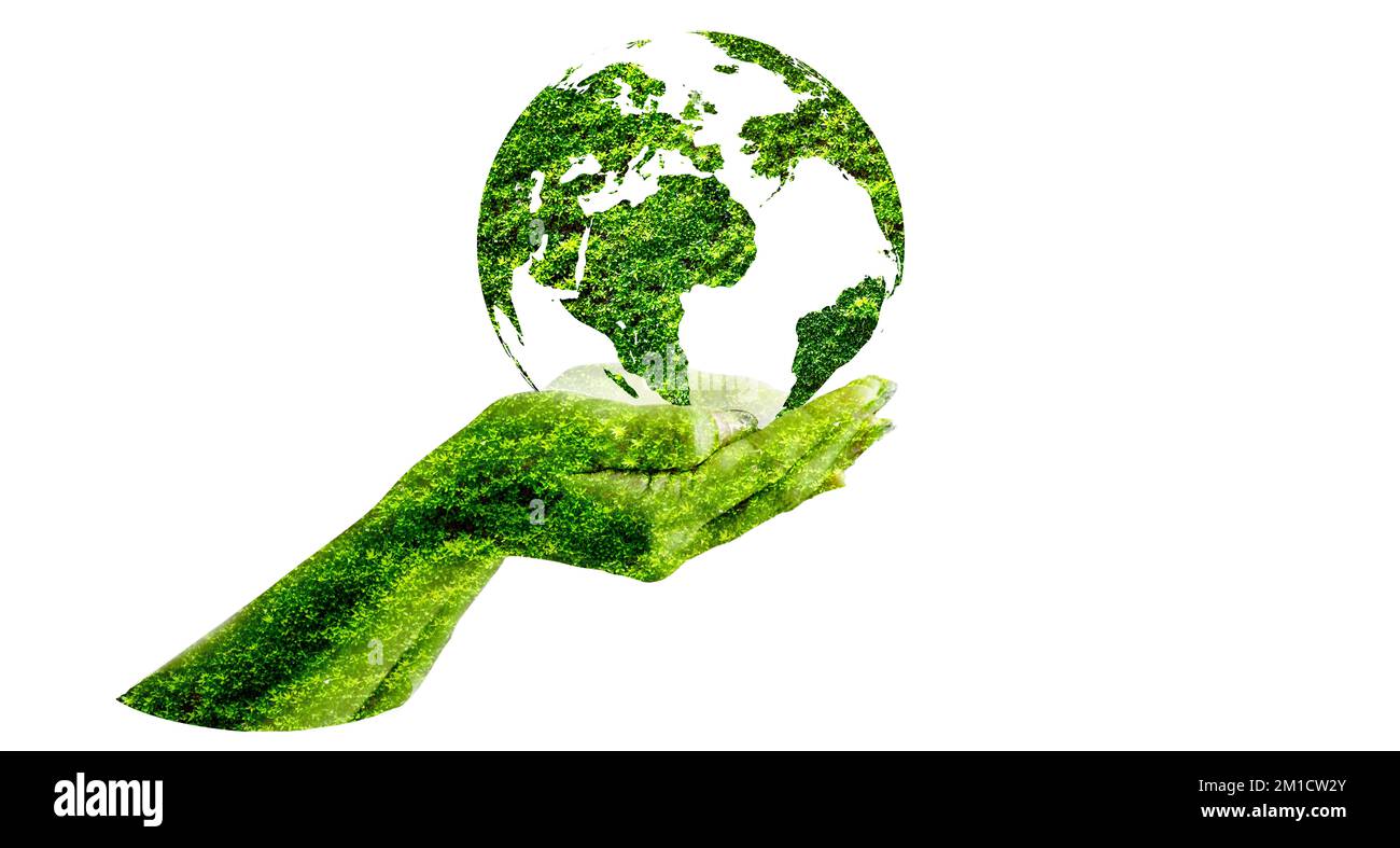 Green Globe Inside Konzept zum Schutz von Umwelt und Natur Stockfoto