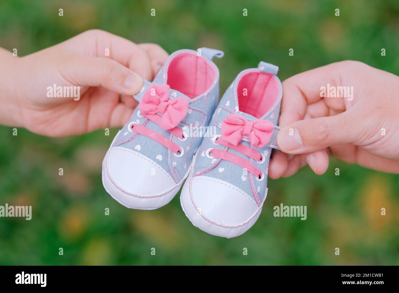 Nahaufnahme der blauen und pinkfarbenen Schuhe für Mädchen, die mit den Händen der Eltern verbunden wurden. Turnschuhe haben Schleifen, kleine Herzen. Grüner Hintergrund. Schwangerschaftsankündigung. Stockfoto