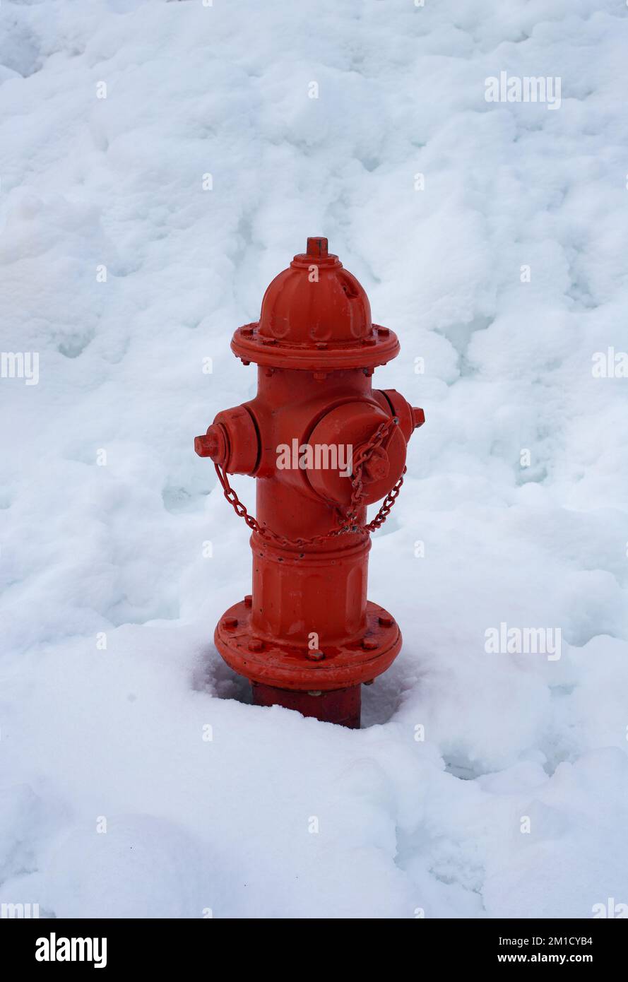 Eine rote Feuerlöscher, mit Schnee bedeckt, in Troja, Montana. Stockfoto
